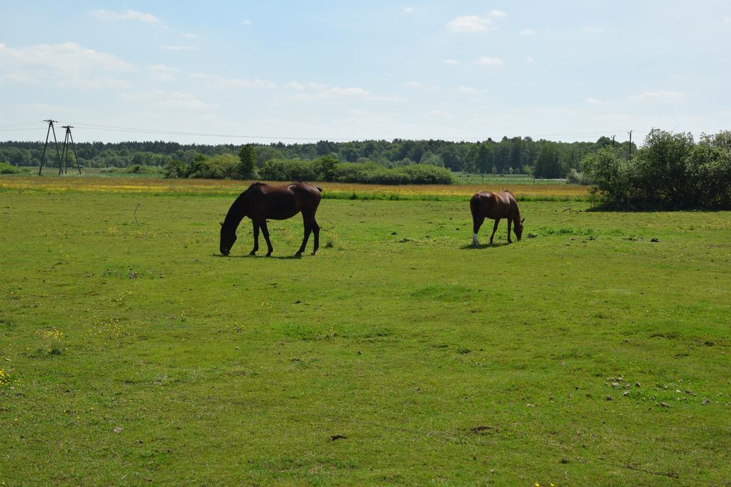 Domki Letniskowe Nad Morzem Darłowo Exterior foto